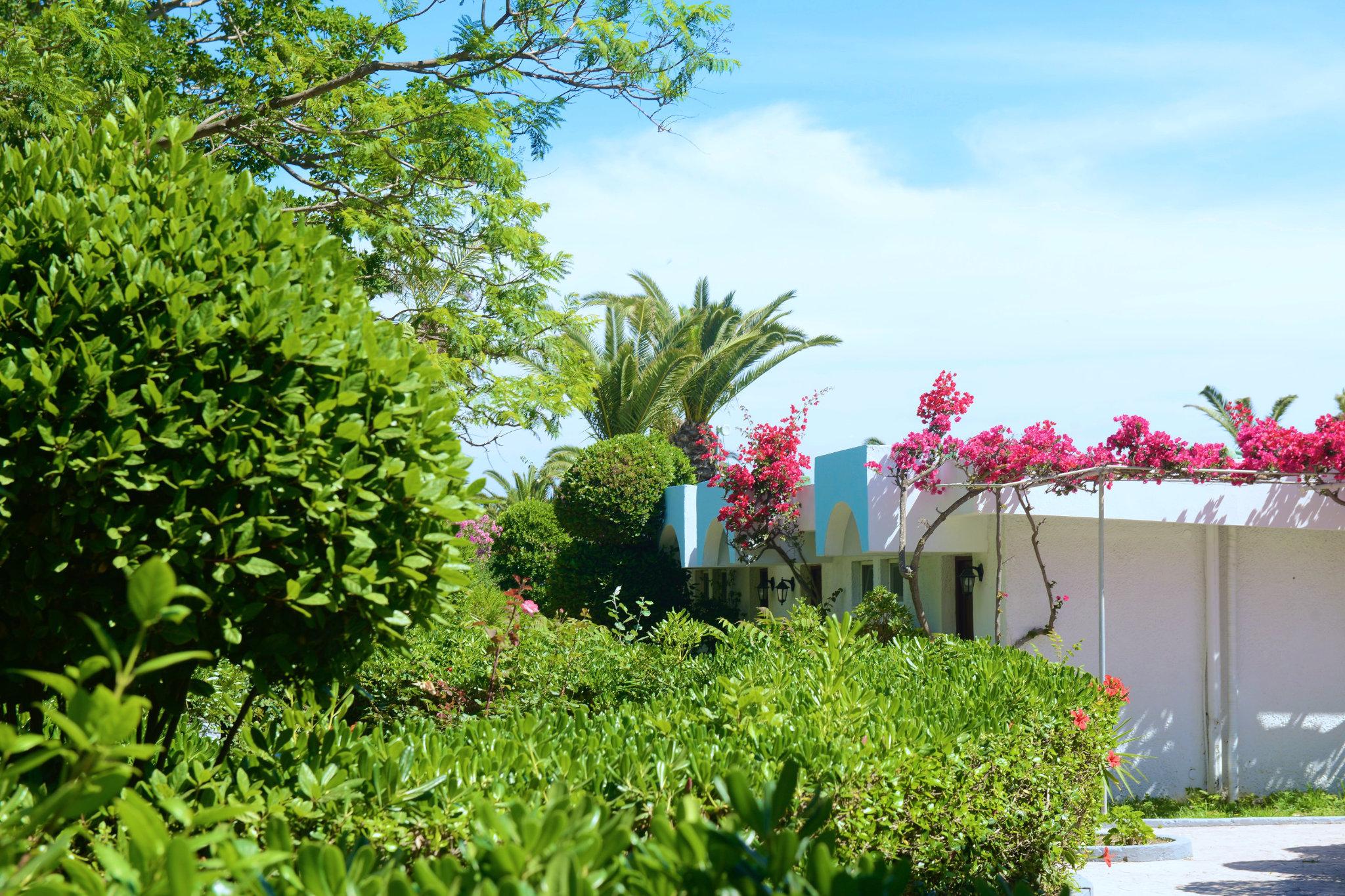 Blue Horizon Hotel Ialysos  Exterior foto