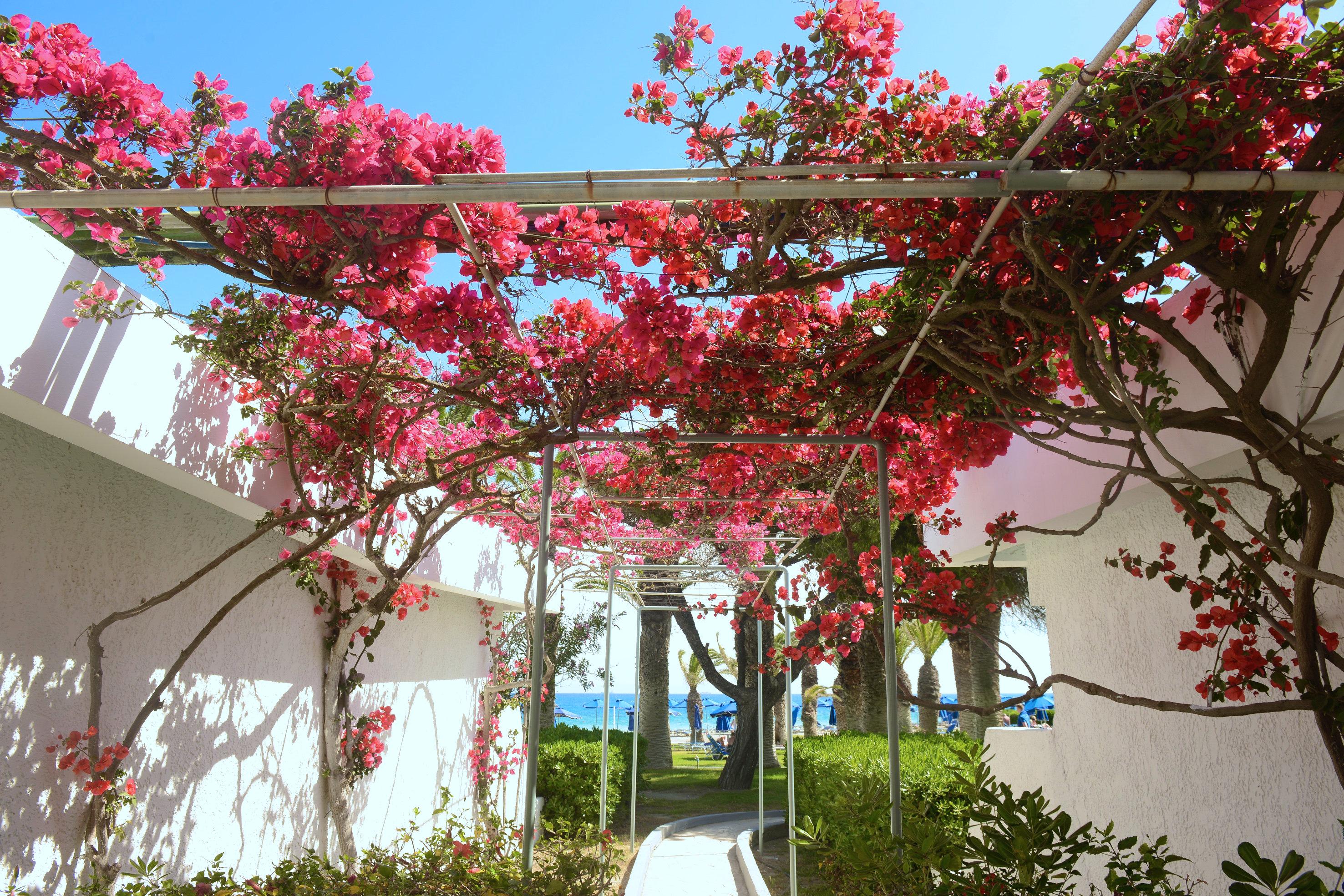 Blue Horizon Hotel Ialysos  Exterior foto